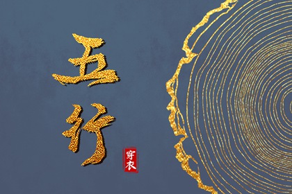 四柱命盘解析,天机紫微斗数排盘,紫微星占卜,命盘测算,算命女命紫微斗数
